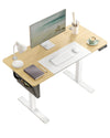 Elektrisch Höhenverstellbarer Schreibtisch 120/140/160 cm, Computertisch mit Memory-Funktion, Stoff-Organizer, Kabelmanagement und Haken